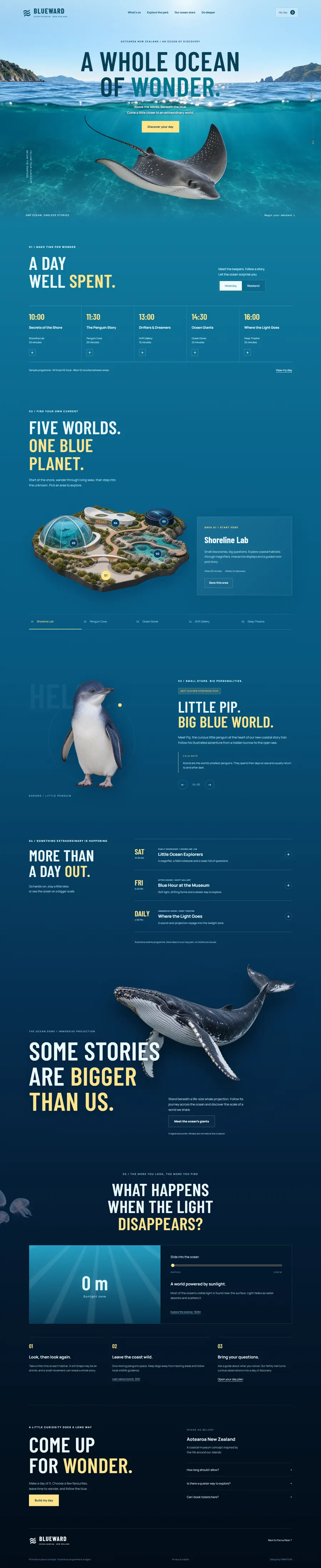 BLUEWARD Ocean Museum website overview