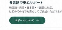 Guide support